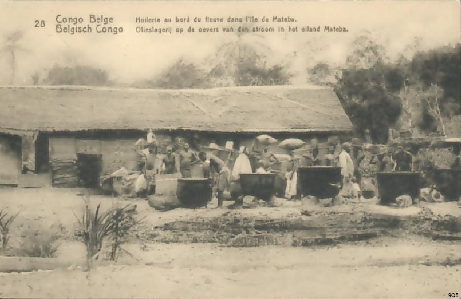 28 Huilerie au bord du fleuve dans l'île de Mateba