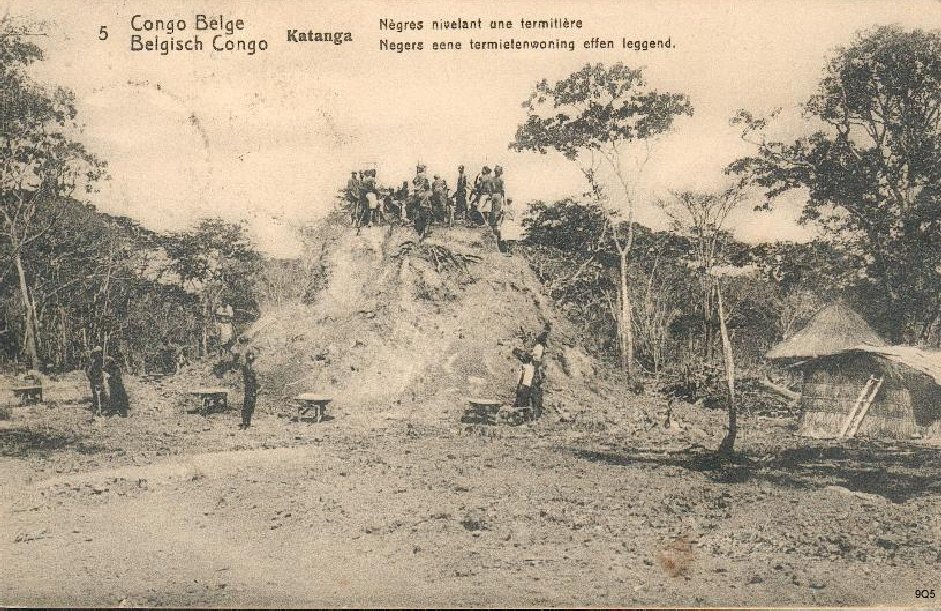 5 Katanga - Nègres nivelant une termitière