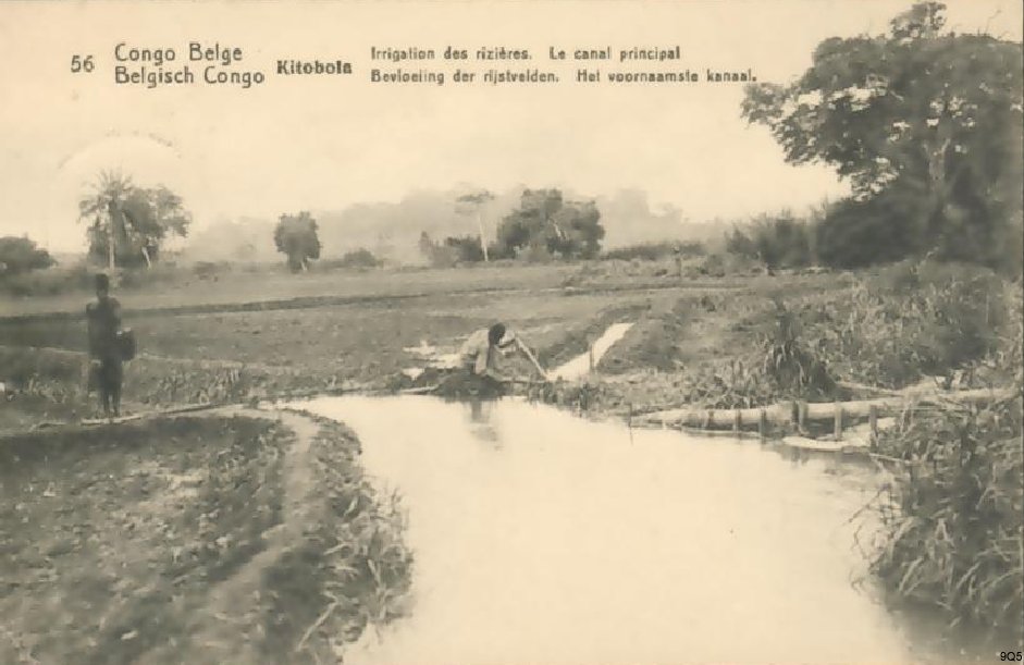 56 Kitobola - Irrigation des rizières - Le canal principal
